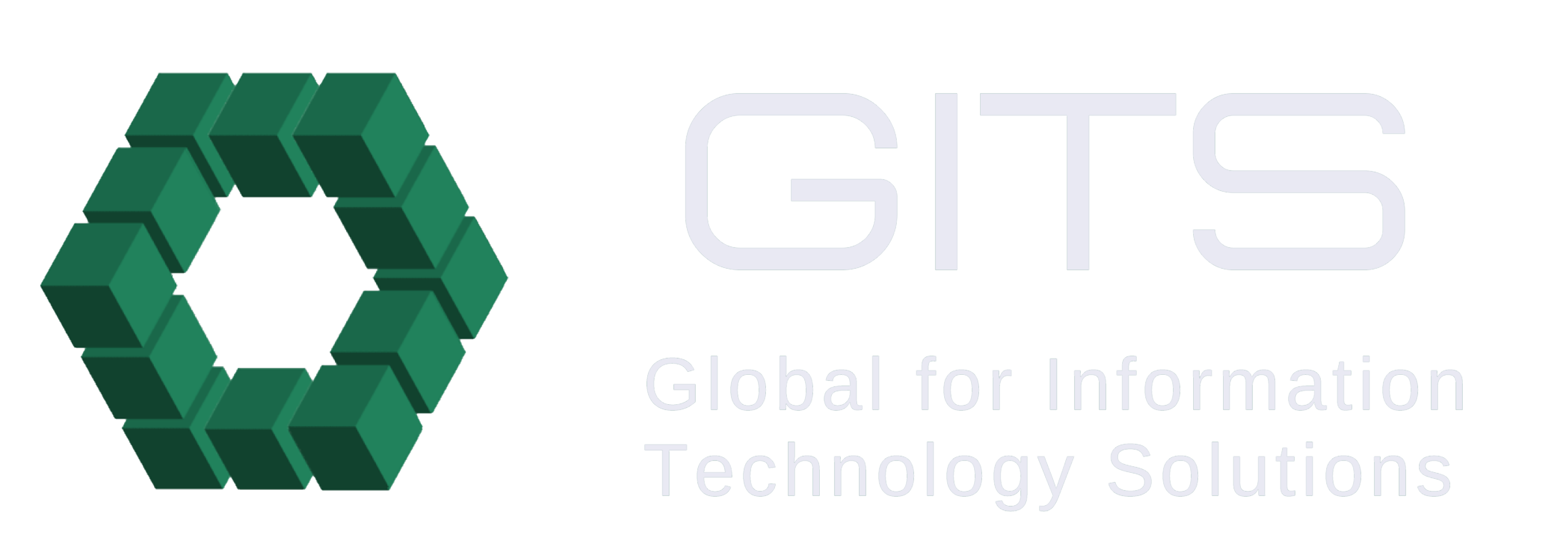 IT Services Gits egypt